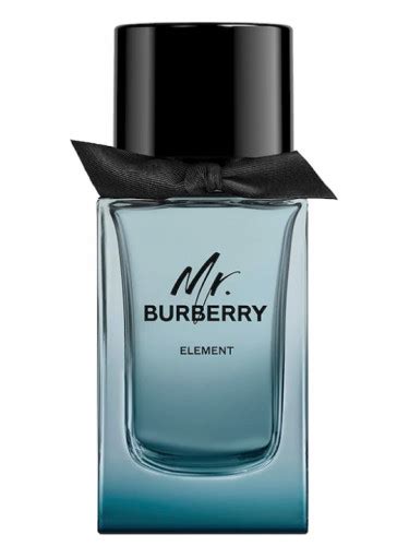 burberry pour homme fragrantica|Burberry parfums pour homme.